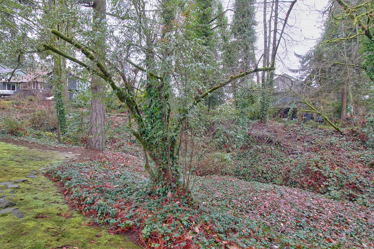 2315arbordrive_081