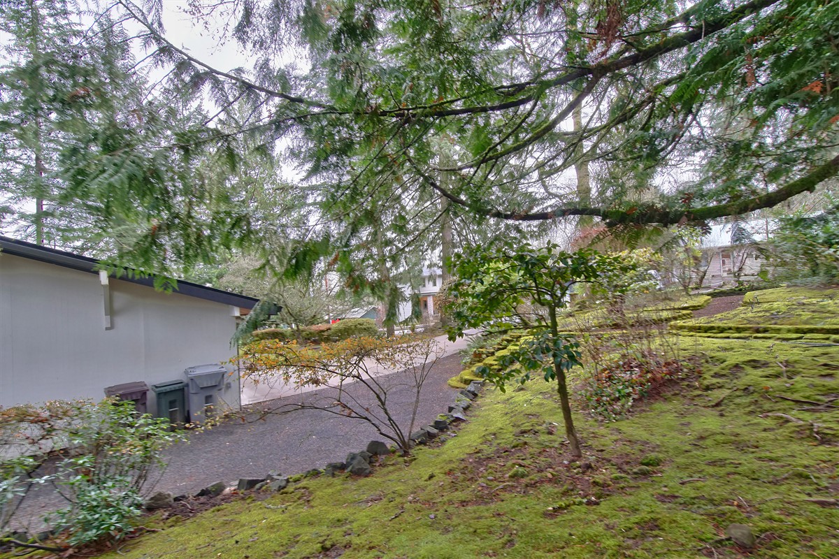 2315arbordrive_087
