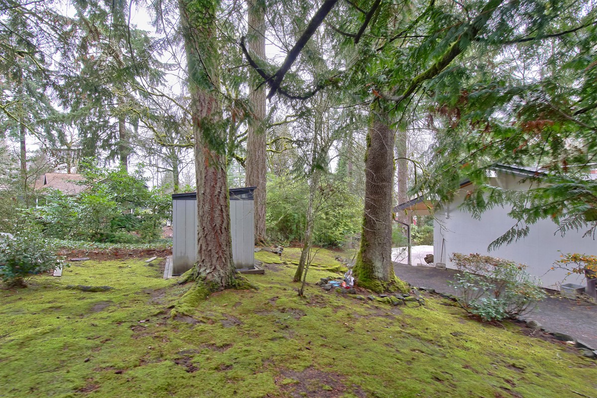 2315arbordrive_088