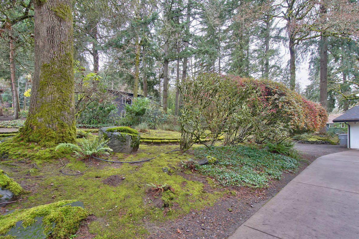 2315arbordrive_091