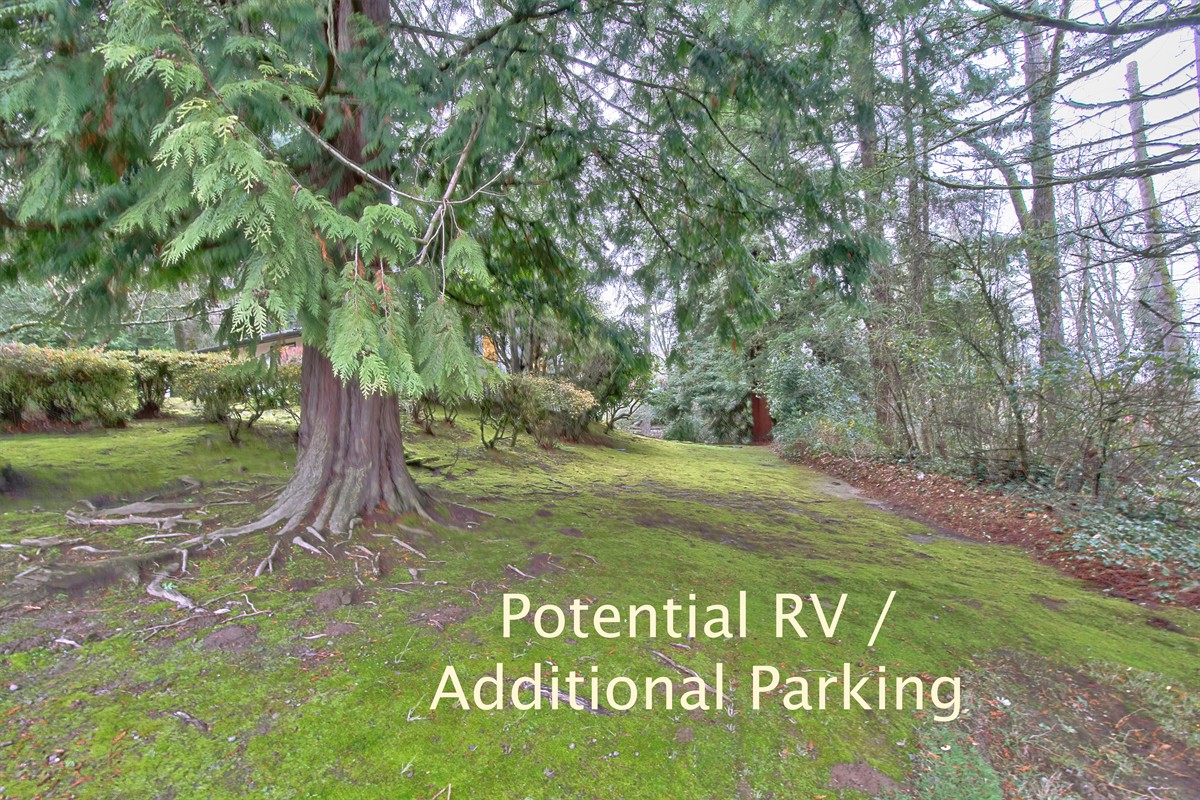 2315arbordrive_093