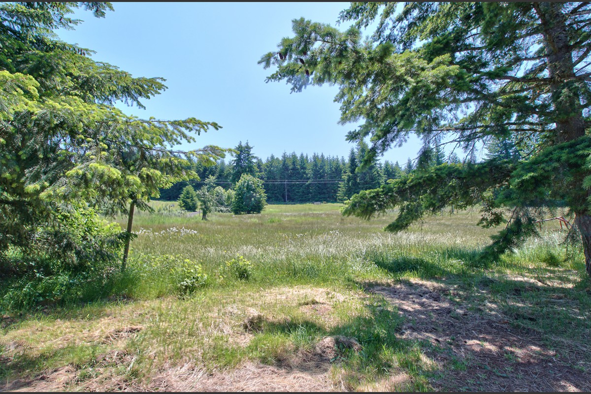 27038oldranierroad_052
